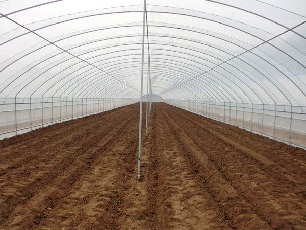拱棚